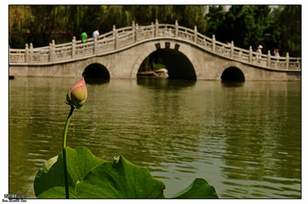 调整大小 DSC_3609.jpg