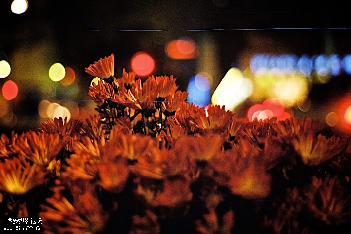 p_large_ihhu_11af000478465c40.jpg