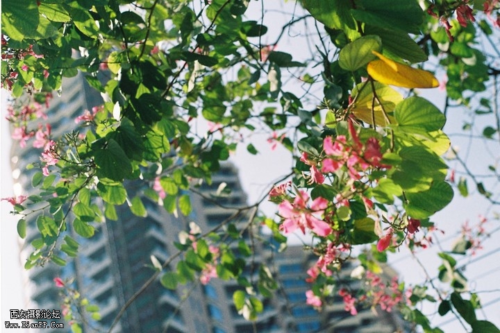 p_large_UXpK_16af000146b65c44.jpg