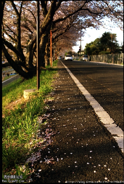 Scan-110614-0014.jpg