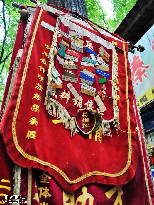 DSC_0029.jpg