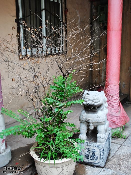 DSC_0032.jpg