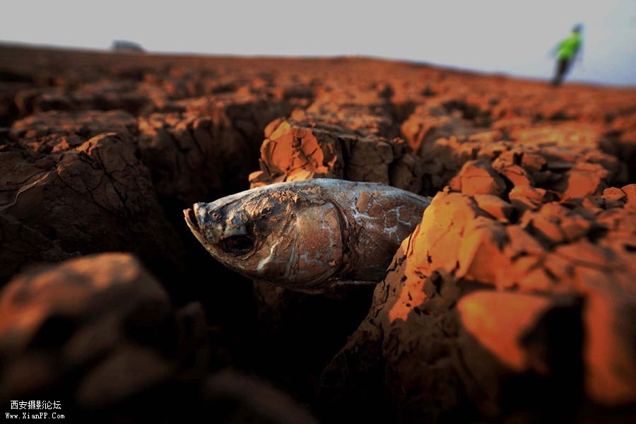 900x600_6L30BEU005RR0001.jpg 900x600_6L30BEU005RR0001.jpg