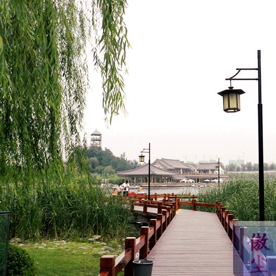 南湖 (4)_副本.jpg