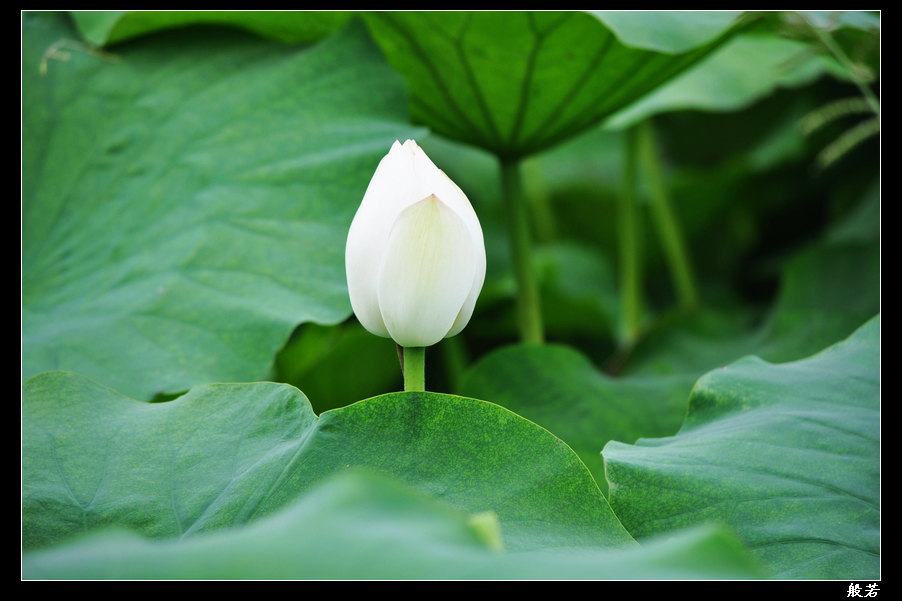 nEO_IMG_照片 070.jpg