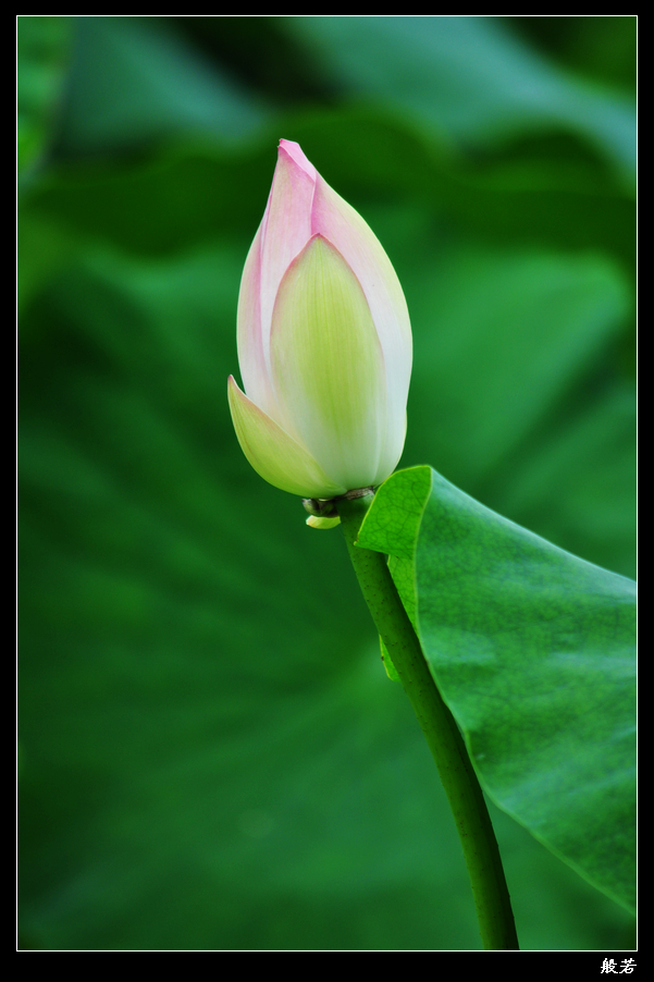 nEO_IMG_照片 060.jpg