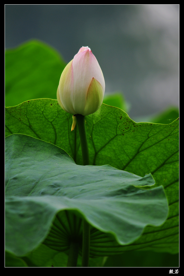 nEO_IMG_照片 062.jpg