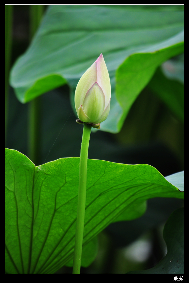 nEO_IMG_照片 063.jpg