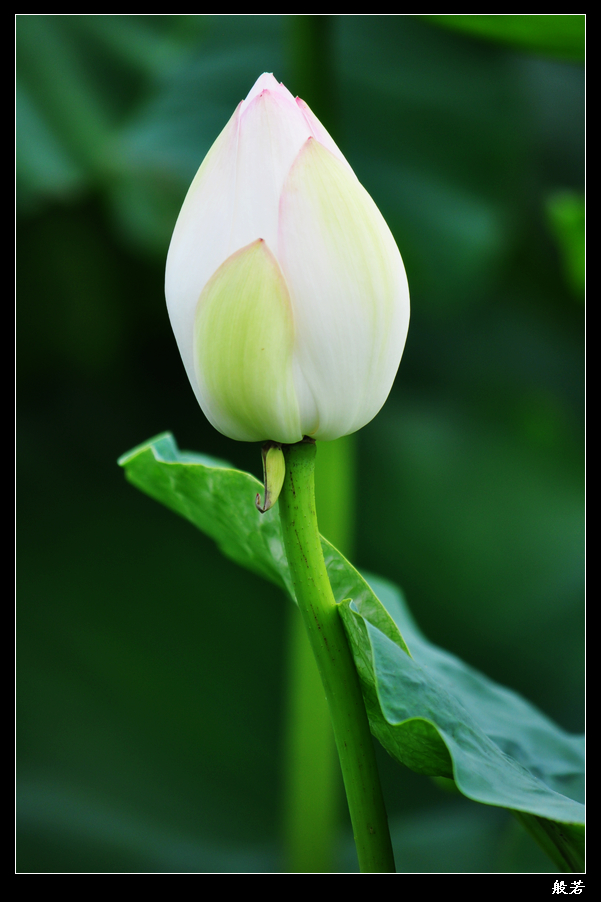 nEO_IMG_照片 067.jpg