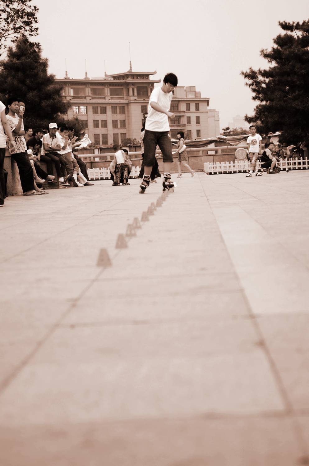 DSC_2240.jpg