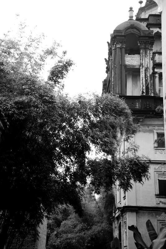06.JPG