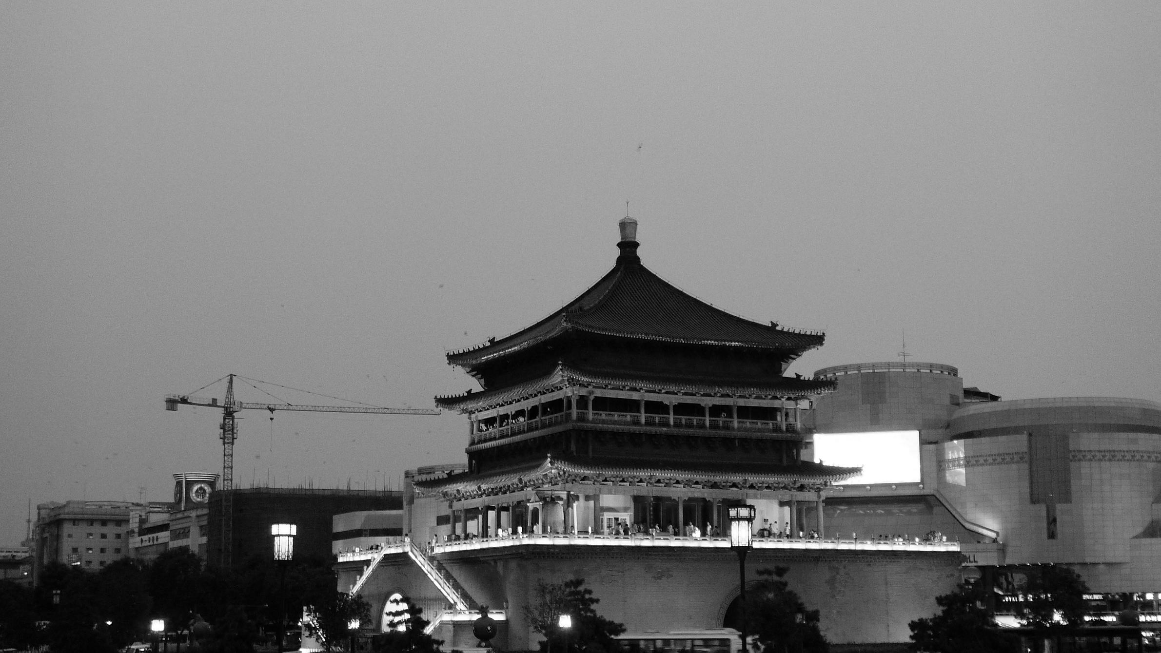 P1040646.JPG
