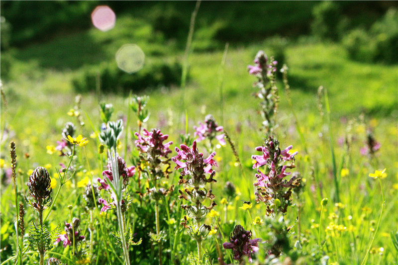 照片 382_副本_副本.jpg