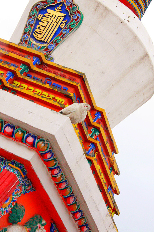 照片 005_副本_副本.jpg