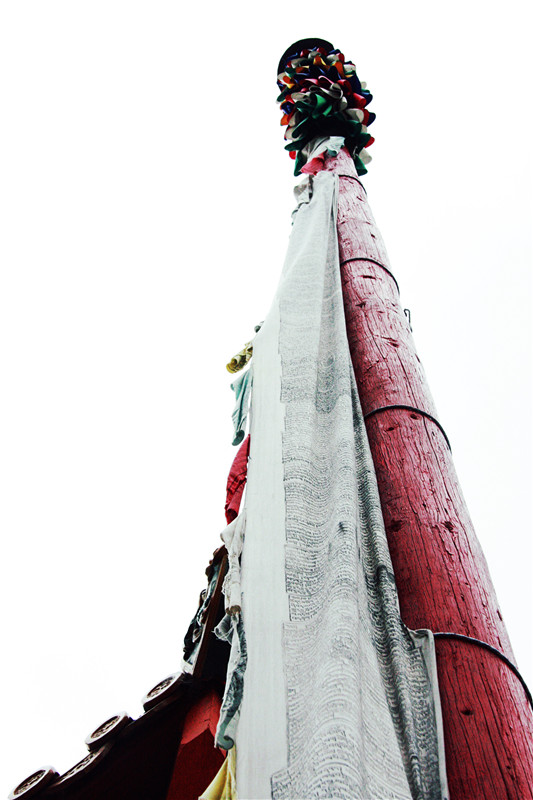 照片 016_副本_副本.jpg