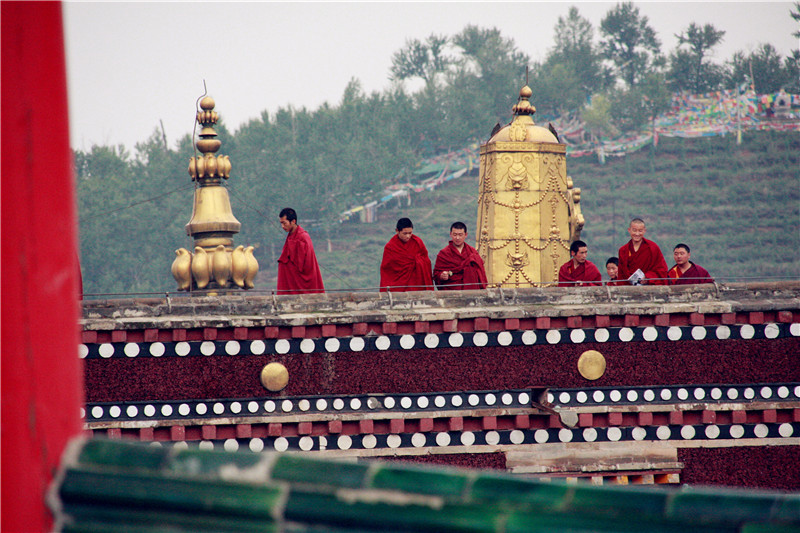 照片 032_副本_副本.jpg