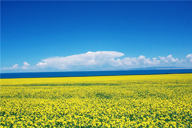 照片 070_副本_副本.jpg