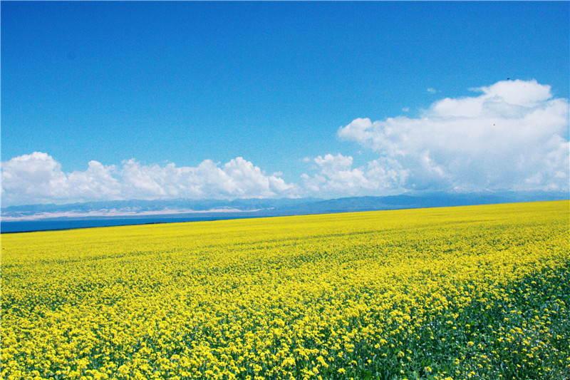 照片 072_副本_副本.jpg