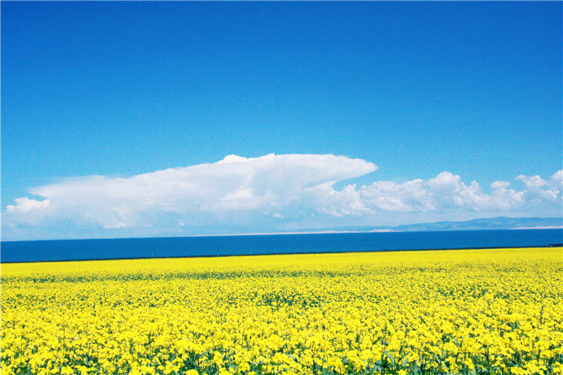 照片 073_副本_副本.jpg