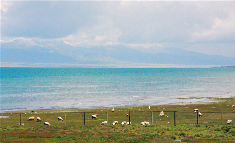 照片 076_副本_副本.jpg