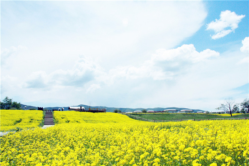 照片 123_副本_副本.jpg