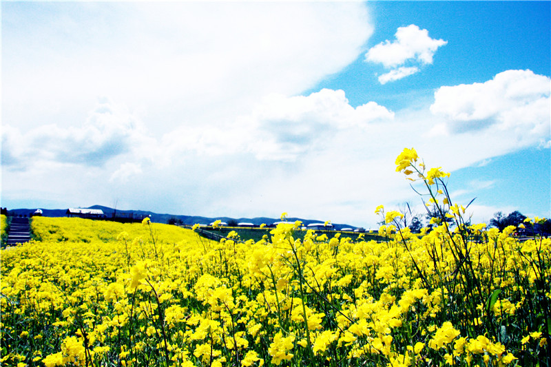 照片 125_副本1_副本.jpg