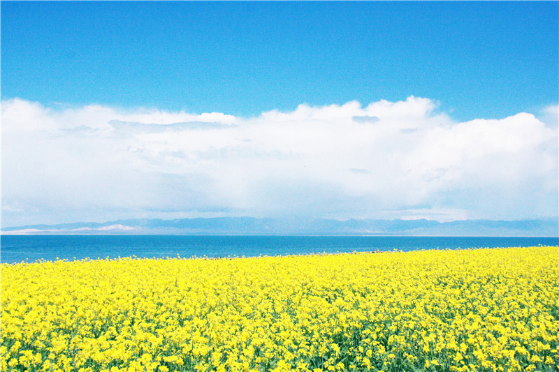 照片 148_副本_副本.jpg