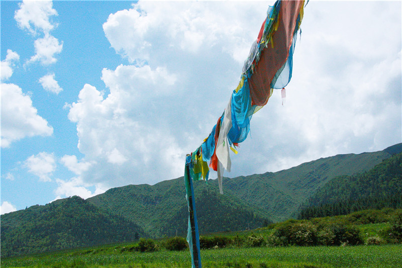 照片 211_副本_副本.jpg