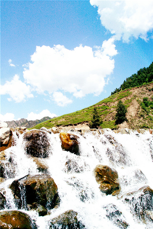 照片 267_副本_副本.jpg