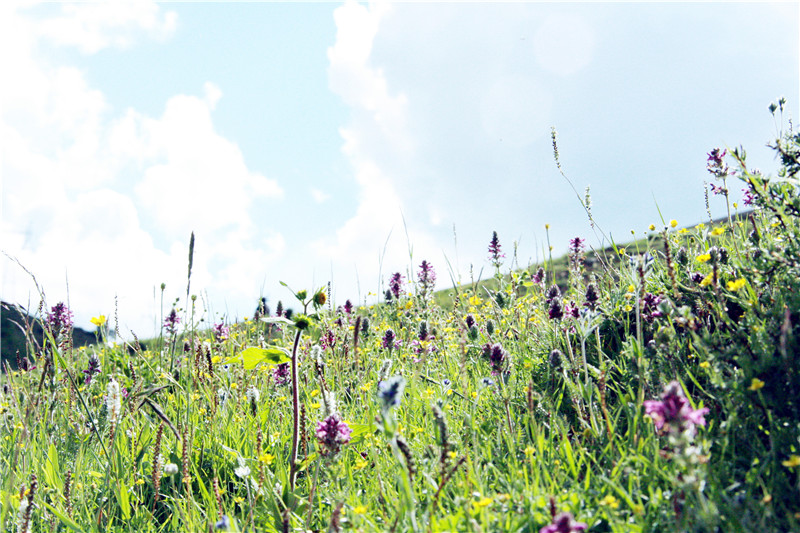 照片 377_副本1_副本.jpg