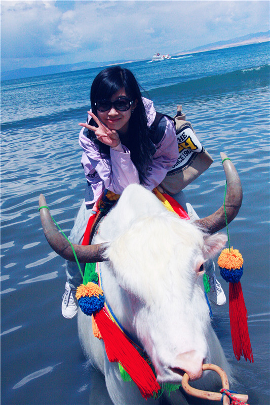 照片 113_副本_副本.jpg