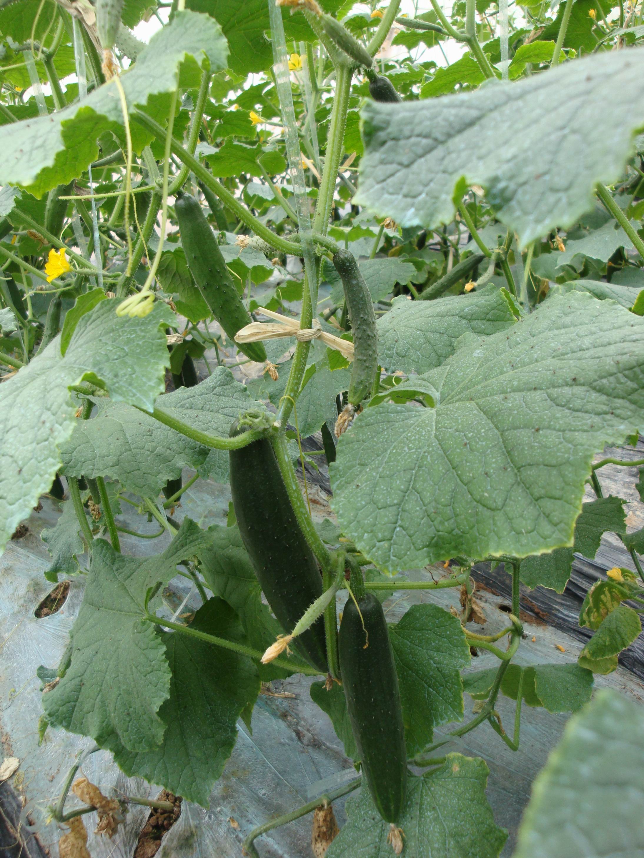 调整大小 DSC01689.JPG