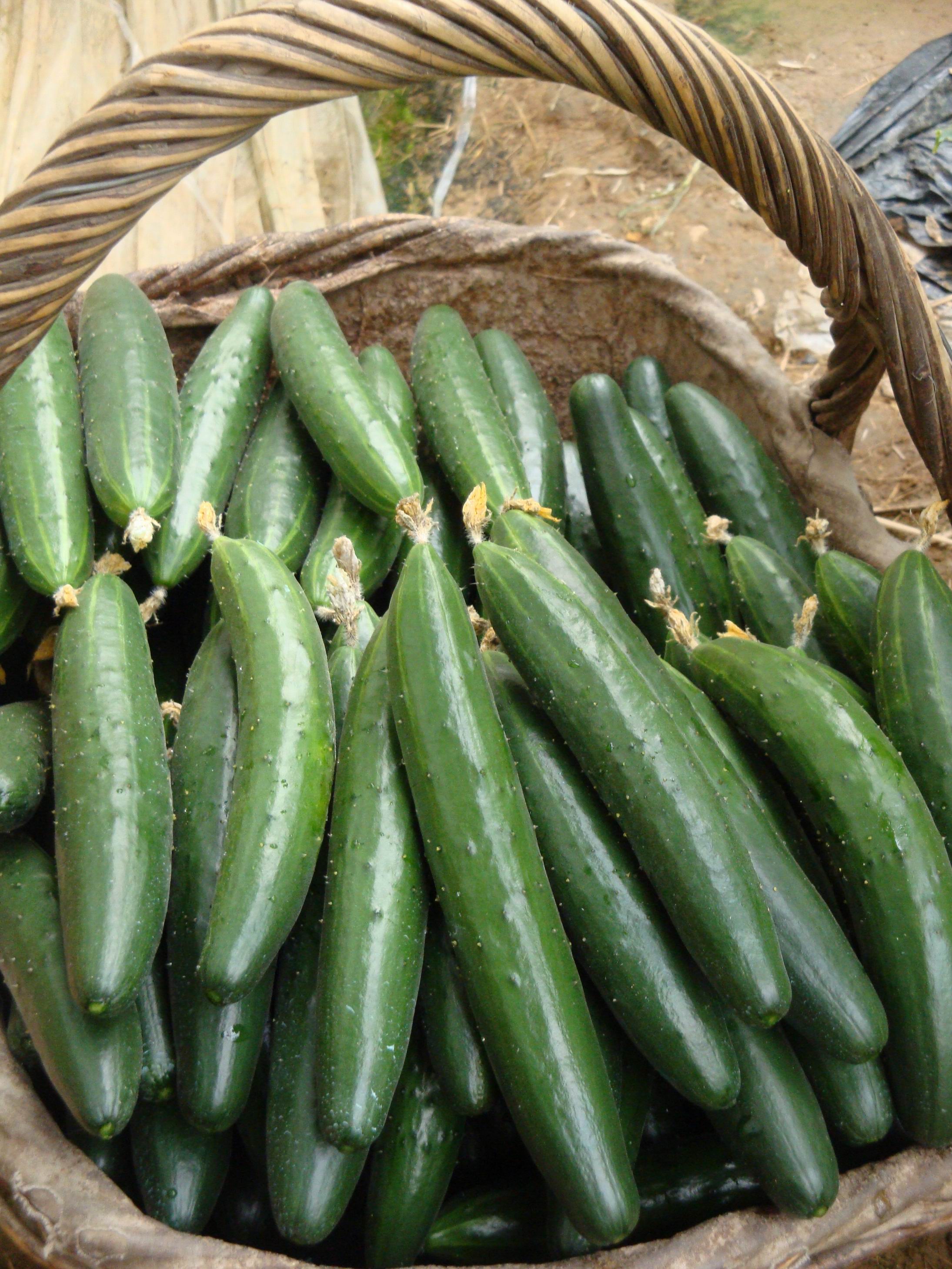 调整大小 DSC01703.JPG