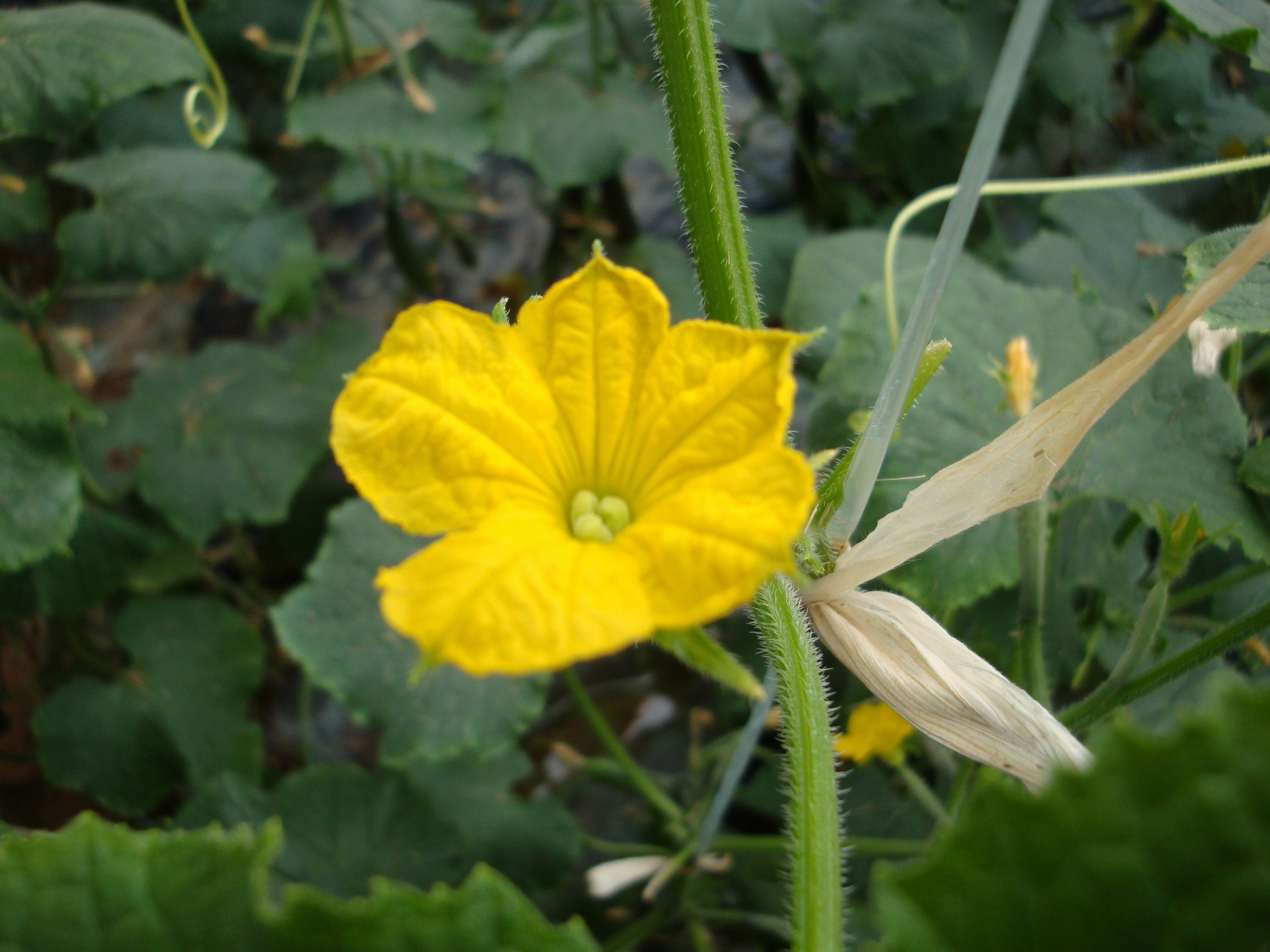 调整大小 DSC01909.JPG