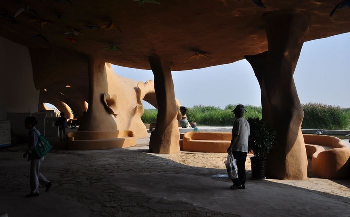 沙湖湿地博物馆