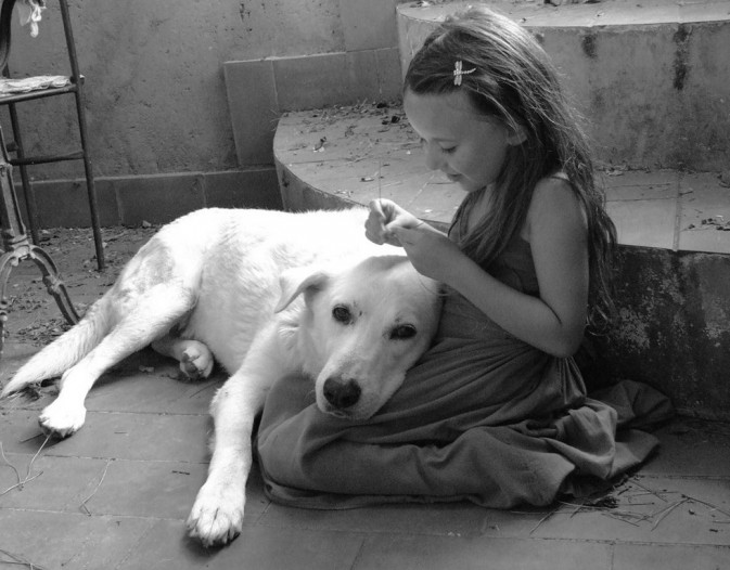 dog_14-673x526.jpg