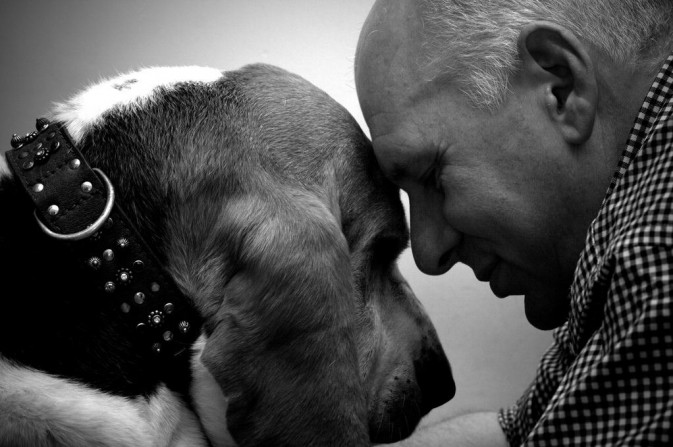 dog_16-673x447.jpg