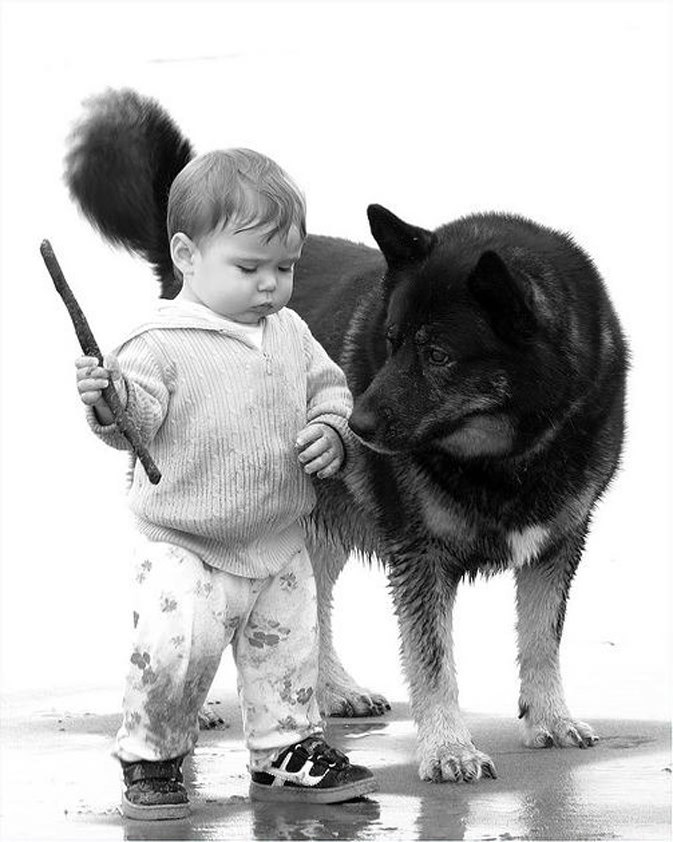 dog_19.jpg