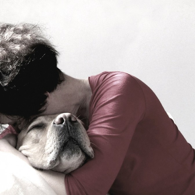 dog_21-673x673.jpg