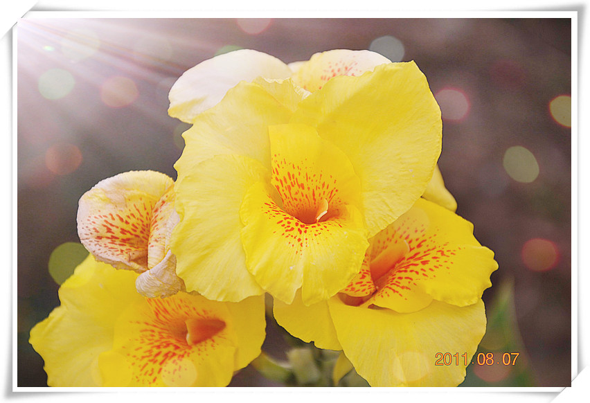 调整大小 DSC_0061_副本.jpg