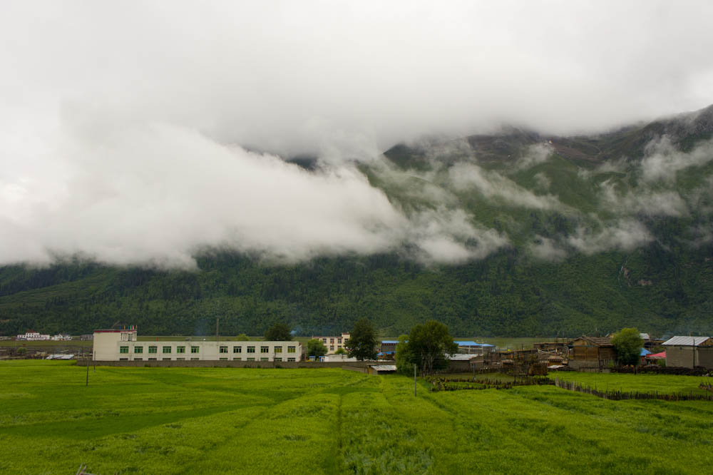 复件 DSC05229-2.jpg