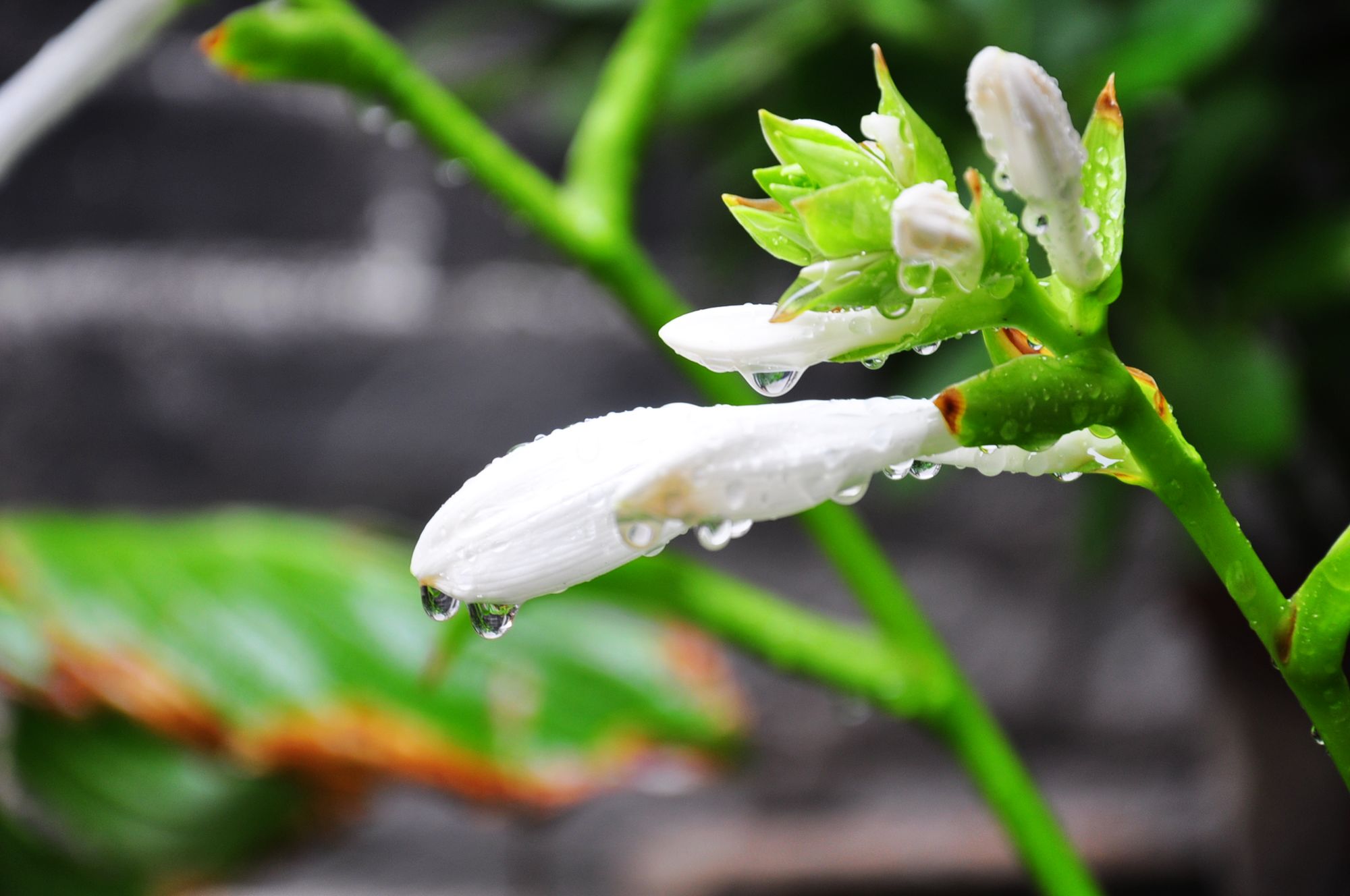 nEO_IMG_照片 121.jpg