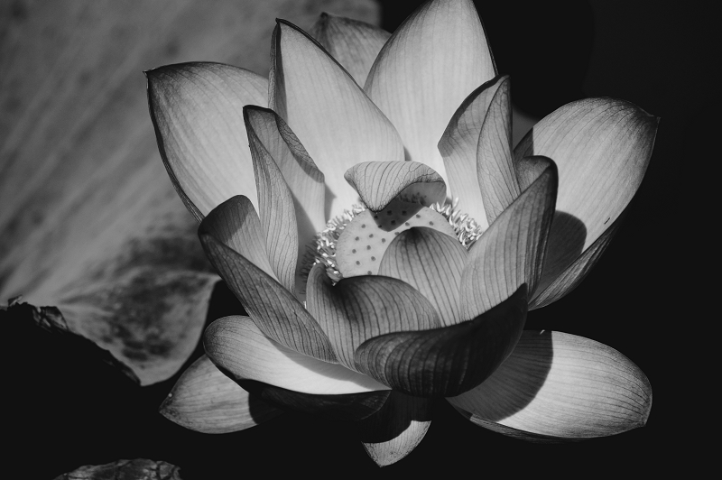 DSC02670-old photo.jpg