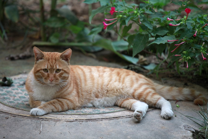 IMG_1072_调整大小.jpg
