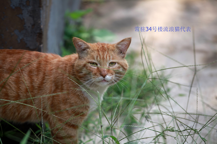 nEO_IMG_IMG_1170.jpg