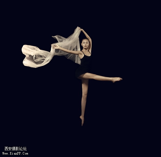 img1_src_3993776.jpg