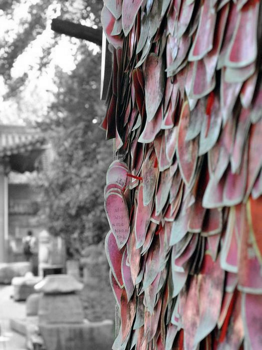 DSC_0005_副本.jpg