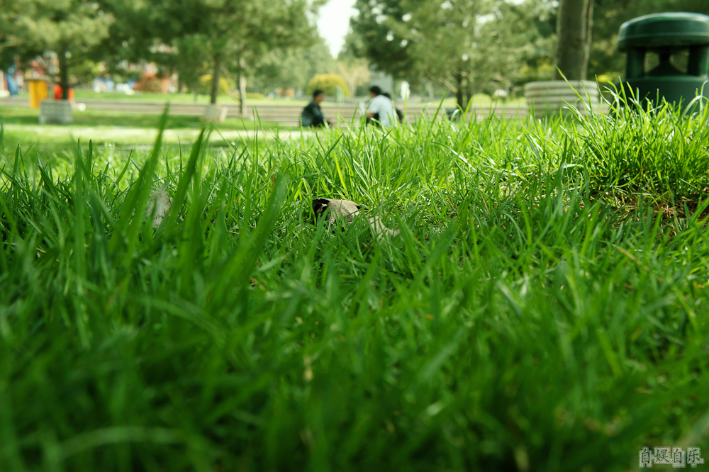 DSC00998.jpg