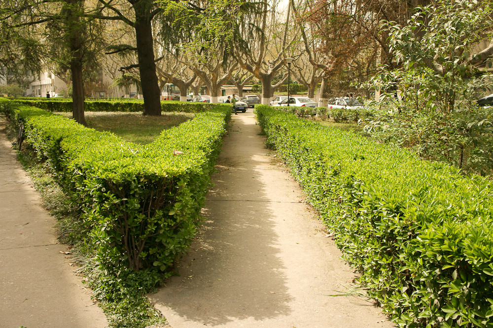 DSC01235.jpg