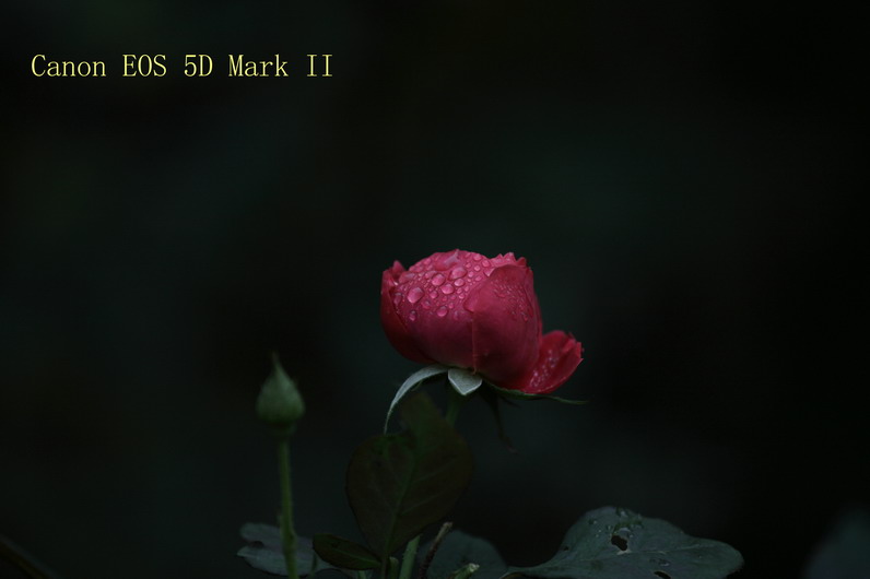 20110919久雨终停3103_调整大小.JPG